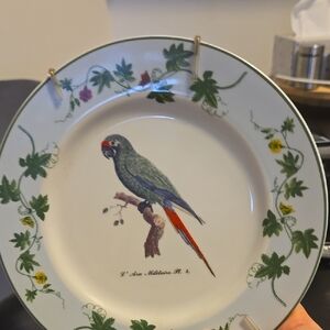 Decorative Parrot Plate with Green and Red Accents